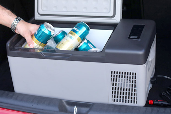 Dual-Zone Refrigerator
